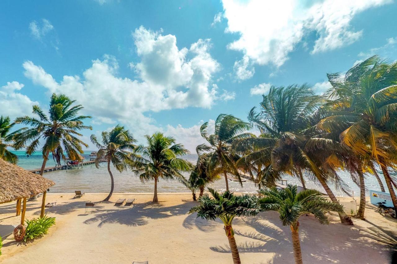 圣佩德罗Palm @ Caribe Island公寓 外观 照片